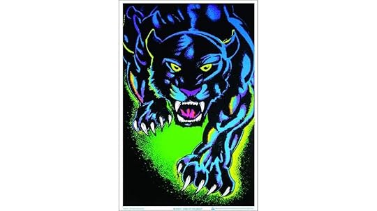 black cat night poster