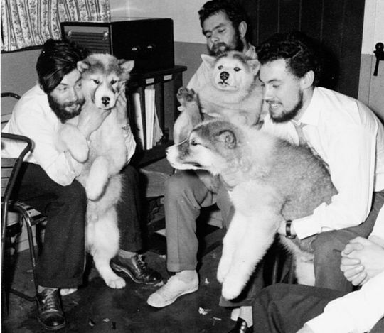 Dennis_Bell_on_left_with_dogs-736x642 v2