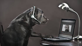 Scientists working on ‘animal internet’
