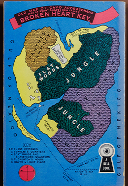 A brightly colored map of an island, with the surrounding Gulf of Mexico in bright blue and sections of the island in green, purple, yellow. brown and white.