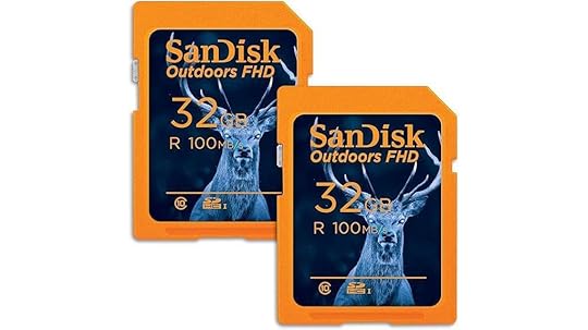 sandisk 32gb dual pack