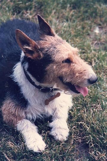 When pets bring comfort from Spirit