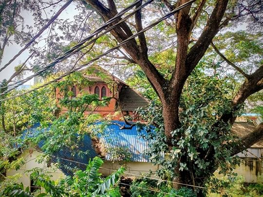 Cheenakottaram, Kollam. 