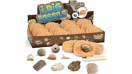 kids fossil dig kit