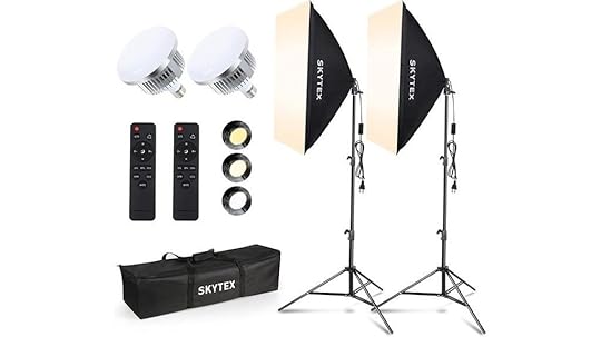 dual 20x28in softbox lights