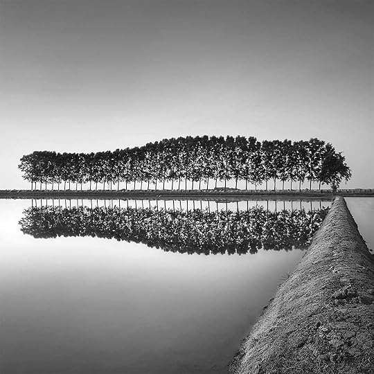 Alberto Bresciani. Rice Field..jpg