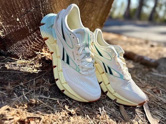 Reebok Floatzig 2 Review