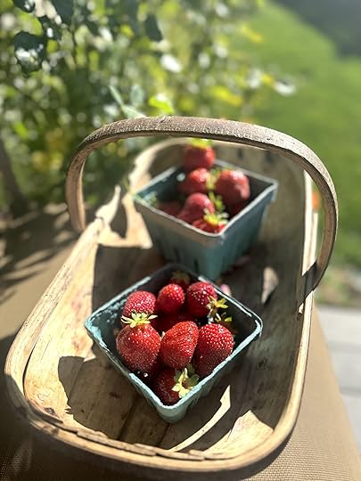 Strawberriesbaskettruggardenporch25sept