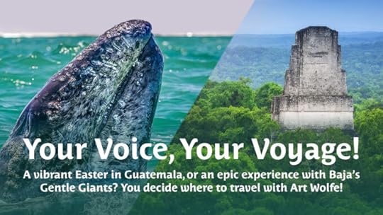 Art Wolfe Baja or Guatemala in 2026?