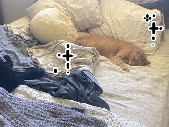 A picture of my orange tabby, Little Lady, asleep on my unmade bed. Sparkles all around. She's an angel.
