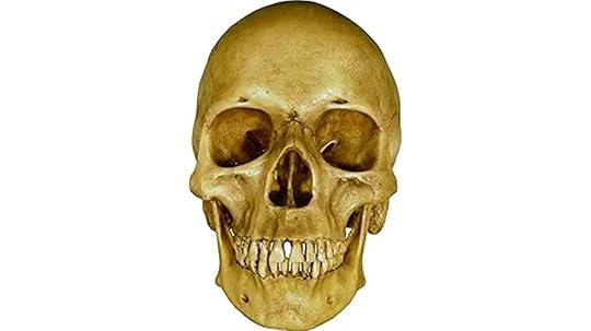 aged earth brown human skull