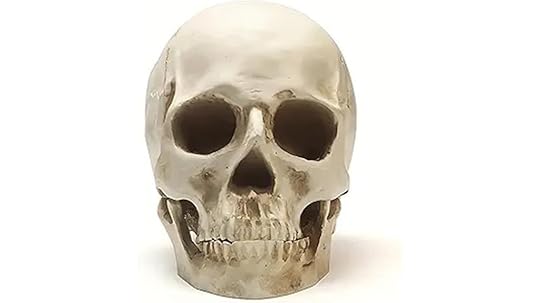 resin skull home decor
