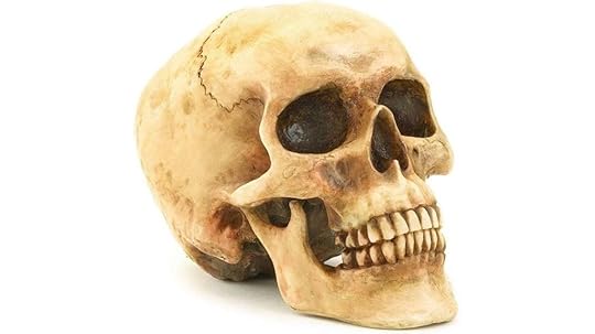 lifelike skull home decor