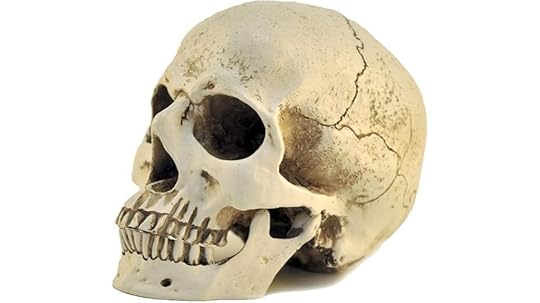 resin skull halloween decor