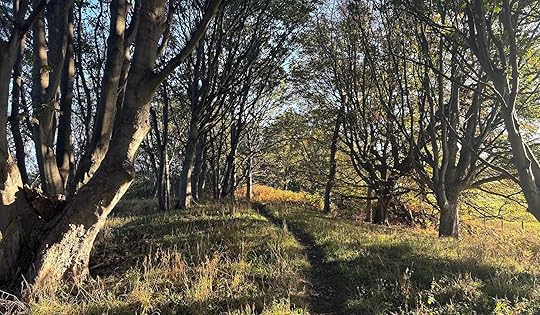 Daynote - Tue 23 Sep