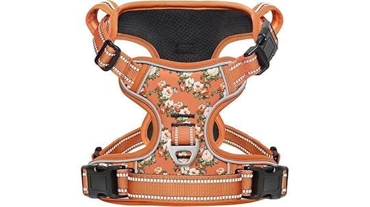 medium dog harness