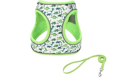 small green dinosaur harness