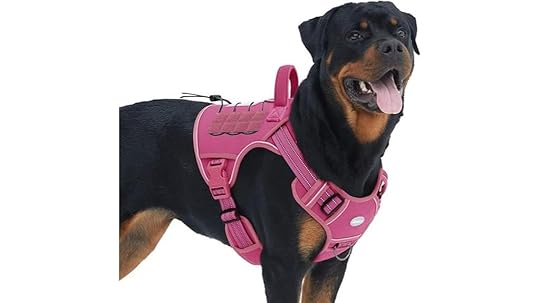 large dog tactical harness