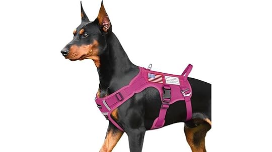 large dog tactical harness