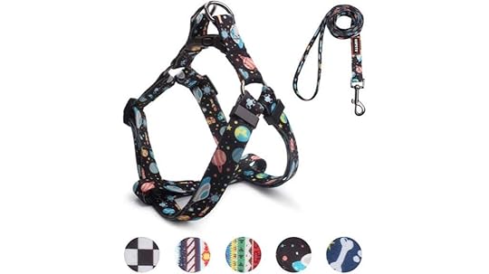 dog harness leash set