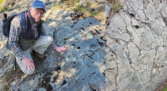 Image of pillow basalt outcrop in Gilbert MN