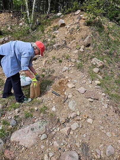 Image of poorly sorted glacial sediment southeast of Ely, MN