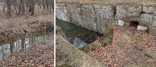 Tow Path features of the Abandoned Ohio and Erie Barge Canal