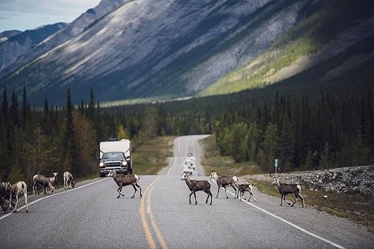 the great wilderness bc