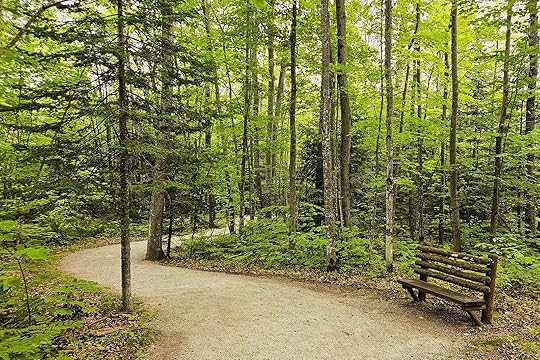 things to do in marquette