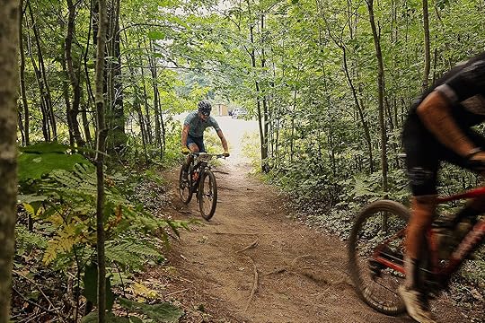 things to do in marquette