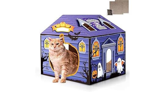 cardboard cat house with scratcher