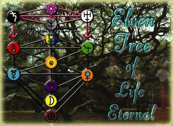 tree_blog