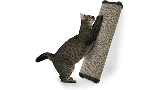 wide colorful scratching post