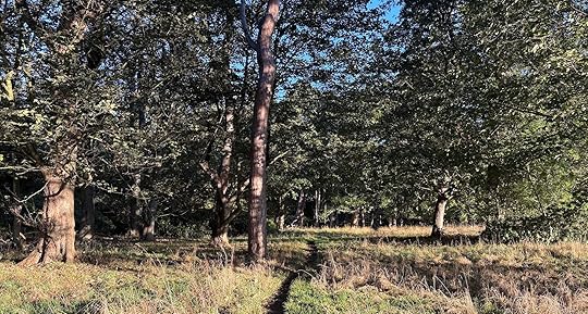 Daynote - Mon 29 Sep