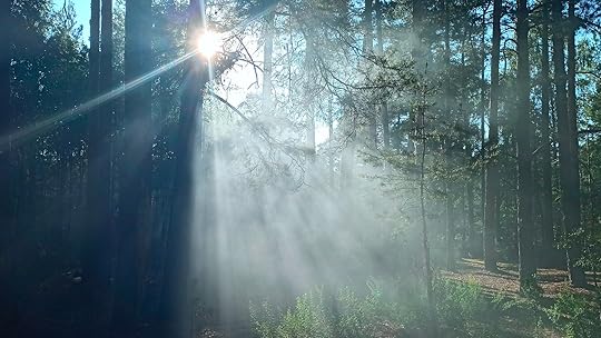 Cultivating Gratitude
