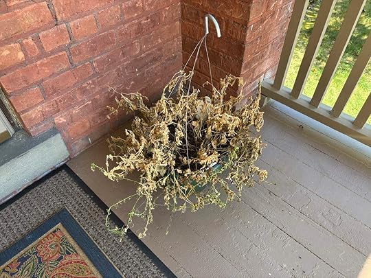 A basket of dead flowers sitting on a porch.