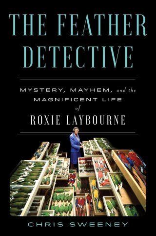 The Feather Detective: How Roxie Laybourne Pioneered Forensic Ornithology