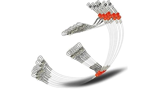 saltwater fishing leader rig