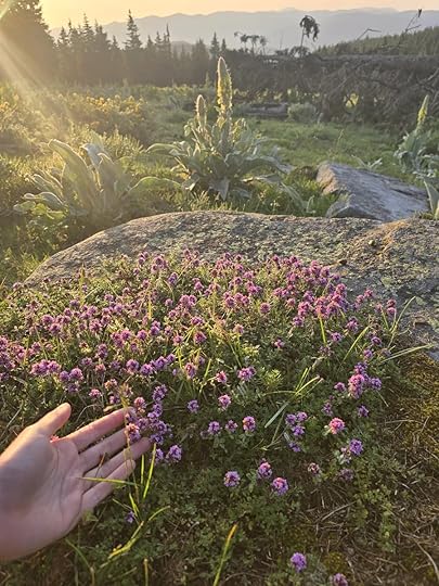 Хижа „Изгрев“