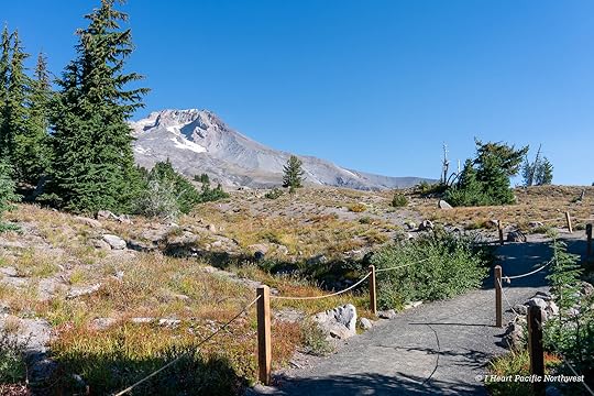 Zigzag Canyon Overlook hike - Mount Hood