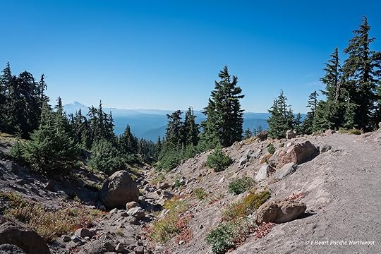 Zigzag Canyon Overlook hike - Mount Hood