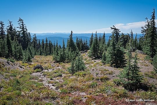 Zigzag Canyon Overlook hike - Mount Hood