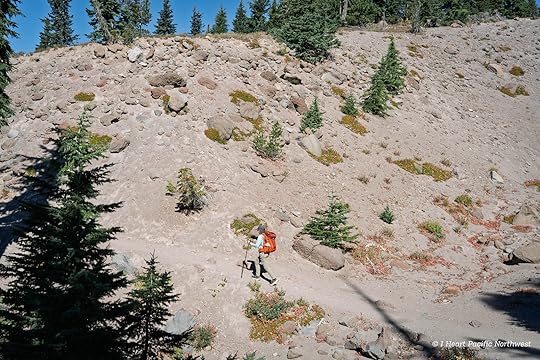 Zigzag Canyon Overlook hike - Mount Hood