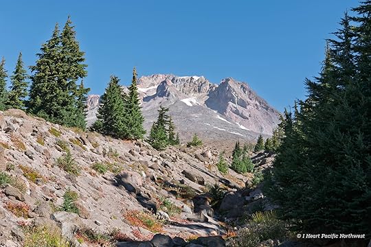 Zigzag Canyon Overlook hike - Mount Hood
