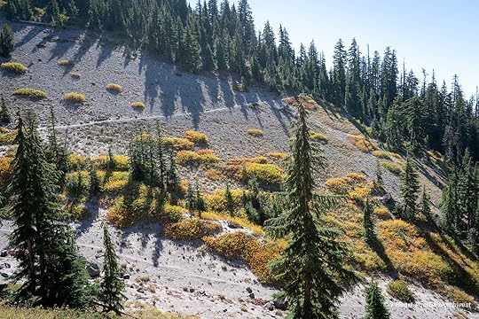 Zigzag Canyon Overlook hike - Mount Hood