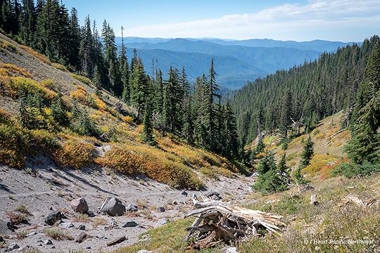 Zigzag Canyon Overlook hike - Mount Hood