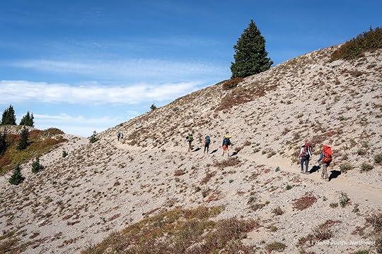 Zigzag Canyon Overlook hike - Mount Hood