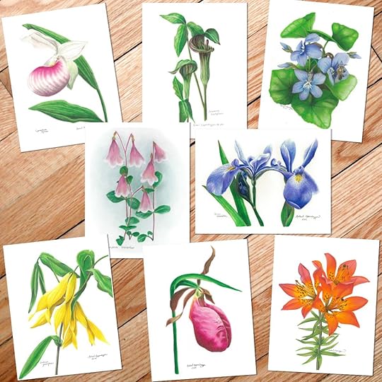 art cards of close-ups of mn wildflowers