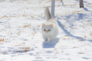 Let me in. Now!