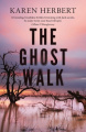 The Ghost Walk: A psychological medical thriller